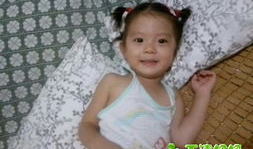 麻豆案,揭开网络诈骗背后的黑暗面